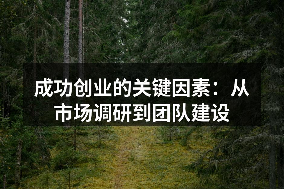 成功创业的关键因素：从市场调研到团队建设